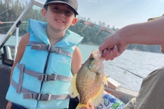 deep-shoals-crappie-three-pine-island-autumn-jigging-lake-of-the-woods