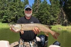Big Marsh Island Musky Common Mistakes to Avoid – Lake of the Woods