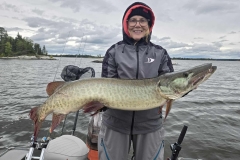 Big Marsh Island Pike Musky Trophy Fishing – Lake of the Woods
