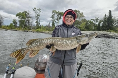Blueberry Chain Musky Shoreline Crawfish Imitations – Lake of the Woods
