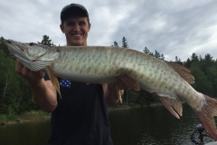 Figure 8 Midlake Musky Topwater Lures Choice – Lake of the Woods