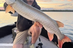 French Narrows Evening Musky Activity – Lake of the Woods