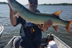 Little Bear Island High Quality Steel Leader Necessity – Lake of the Woods