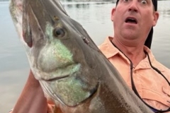 Little Raspberry Island Musky Soft Plastics Retri Speed – Lake of the Woods