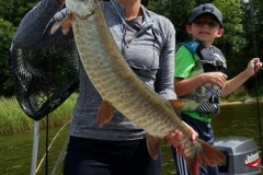 Northern Channel Musky Trophy Size Catch Release – Lake of the Woods