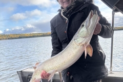 Poplar Island Musky Summer to Fall Behavior Patterns – Lake of the Woods