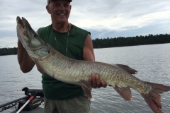 Rabbit Island Musky Lure Following Indicators – Lake of the Woods