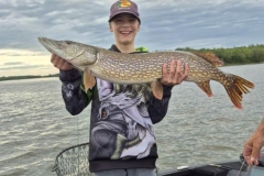 Rabbit Island Zone Guided Musky Trophy Trips – Lake of the Woods