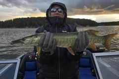 Raspberry Run Musky Shallow Water Hunting Methods – Lake of the Woods