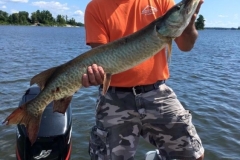 Saarelas Lodge Musky Exploding Waters Calm Bay – Lake of the Woods