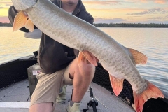 Three Pine Island Mid Musky Lure Color – Lake of the Woods