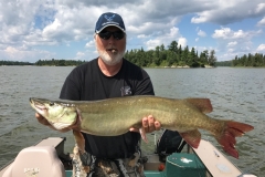 Waldron Pocket Musky Water Turnover Behavior Change – Lake of the Woods