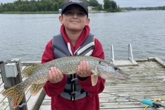 Blueberry Island Multi-Species Pike Casting Spinnerbaits – Lake of the Woods