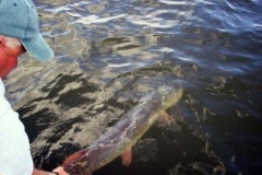 Bluff Island Wilderness Pike Protected Water Casting Crankbaits – Lake of the Woods
