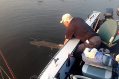 Mather Reef Structure Northern Pike Casting Spoons – Lake of the Woods