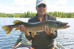 Raspberry Island Morning Pike Circuit Casting Crankbaits – Lake of the Woods