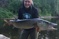Saarelas Pike Slot Limit Soft Plastics – Lake of the Woods