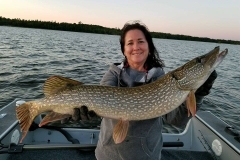 Tar Vat Island Northwest Northern Pike Spinnerbait Fire Tiger – Lake of the Woods