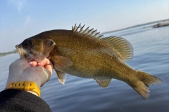 Buff Island Oversized Trophy Smallmouth Bass Crankbait Smash – Lake of the Woods