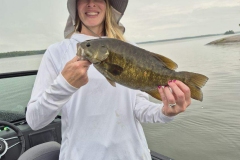 Round Island North Loop Casting Soft Plastics Smallmouth Bass – Lake of the Woods