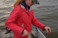 Smallmouth Bass Little Bear Island Keeper-Size Soft Plastics – Lake of the Woods