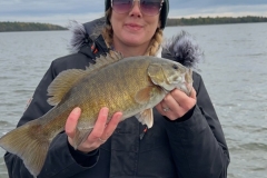 Smallmouth Bass Tar Vat Island Windy Day Shallow Crankbaits – Lake of the Woods