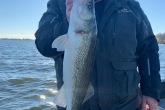 Basil Island Trolling Walleye – Lake of the Woods