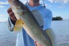 Big Walleye Caught Near the Raspberry Island Point – Lake of the Woods