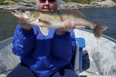 Blueberry Island Rocky Point 26-inch Walleye