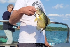 Blueberry Island Walleye – Lake of the Woods
