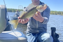 Bluffy Island Big Walleye – Lake of the Woods