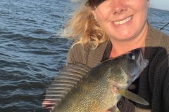 Bluff Island Lunker Walleye – Lake of the Woods