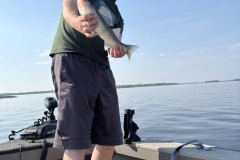 Fishery Island Rock Shelf Walleye – Lake of the Woods