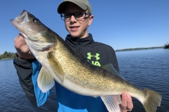 Government Dock Pickerel – Lake of the Woods