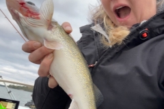 Little Blueberry Island Shallow Flat Walleye – Lake of the Woods
